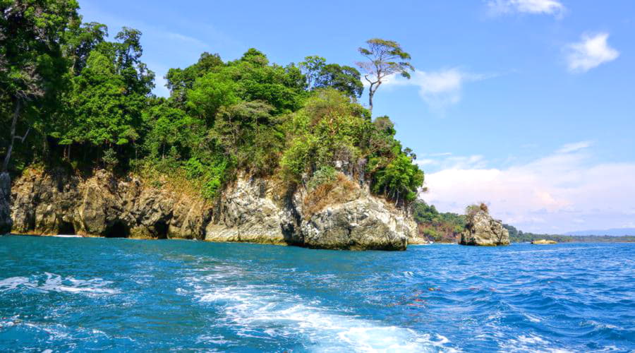 Nuestro inventario incluye una amplia variedad de vehículos.